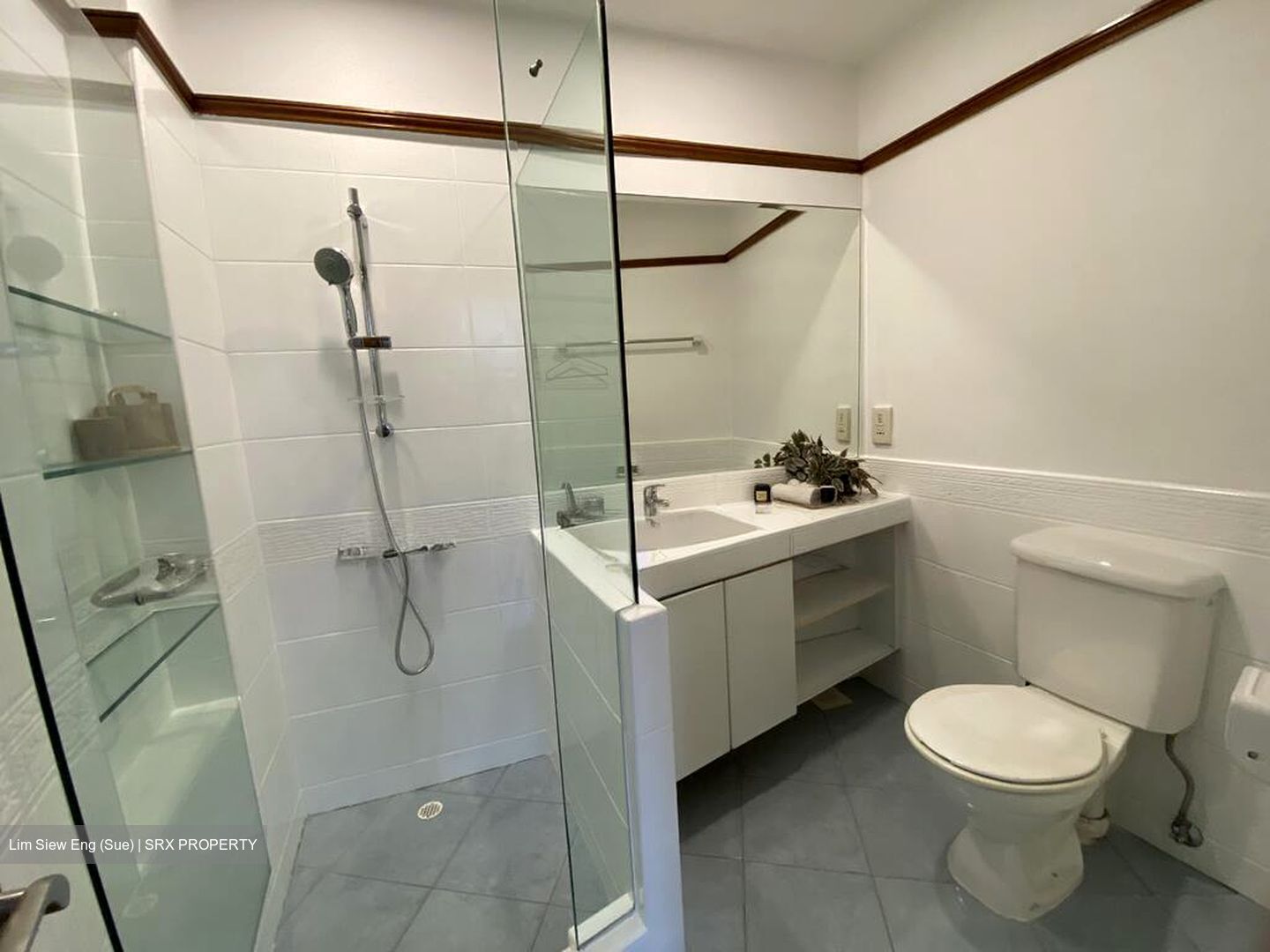 The Draycott (D10), Apartment #521128341